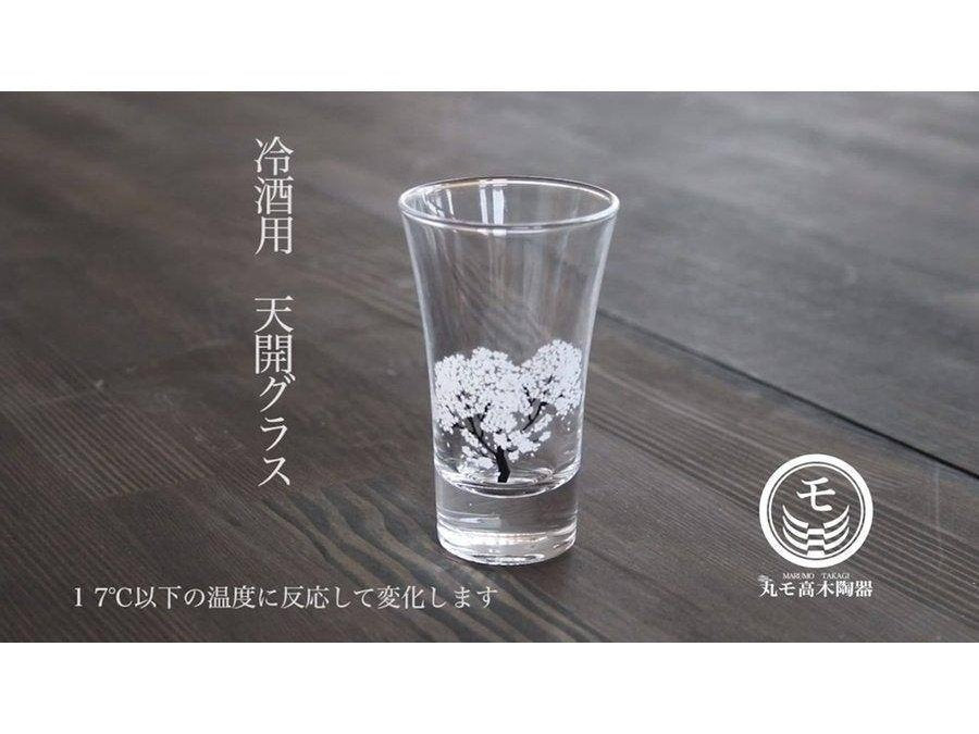Shun Japan Marumo Takagi Pottery Sakara Colour Changing Glass pc Set
