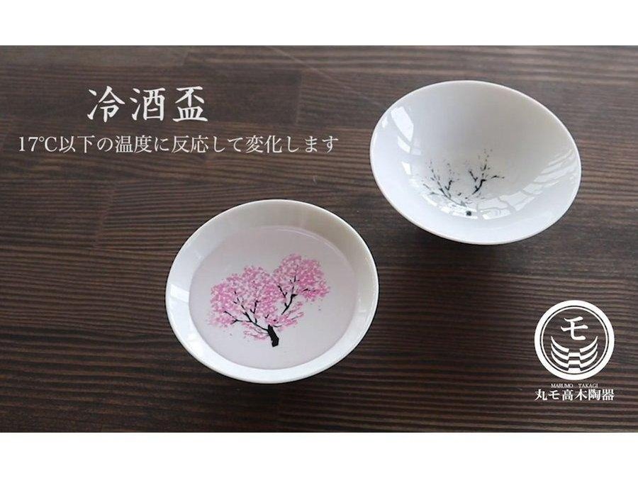 Shun Japan Marumo Takagi Pottery Sakara Colour Changing Sauce pc Set