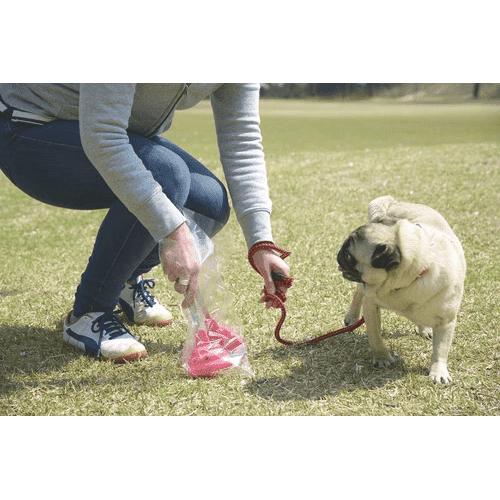 Tanabe Kanagu Poo Catcher Tong