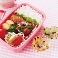 Torune Cat Life Bento Cup 40pcs