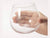 Toyo Sasaki Stemless Wine Glass ml pc