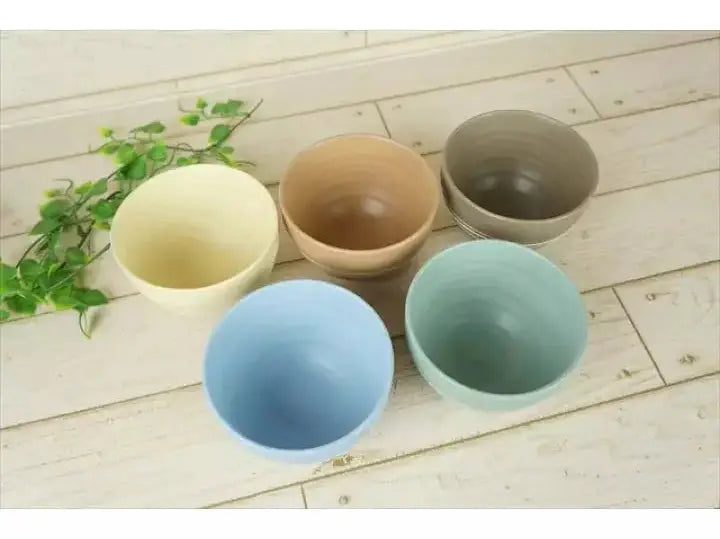 Zen Pastel Decor Bowl Set 5P