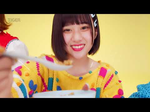 Tiger Electric Skillet CRL-A30A